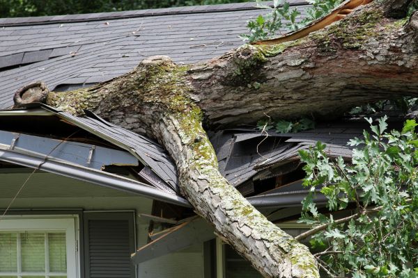 Storm Remediation in Rockwall