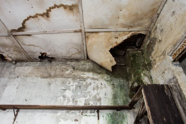 Water Damage Service in Rockwall