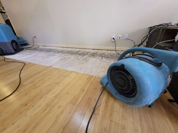 Water Damage Mitigation in Rockwall