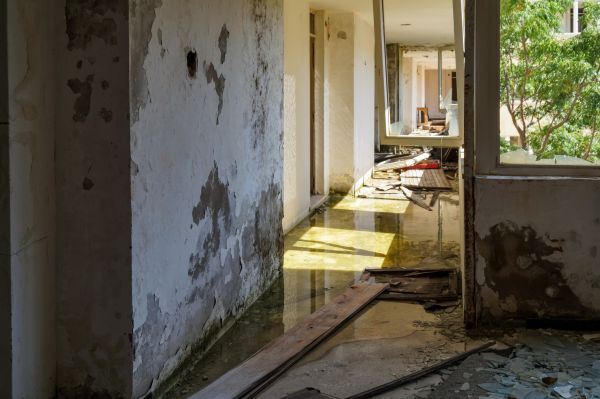 Cost of Water Removal Service in Rockwall